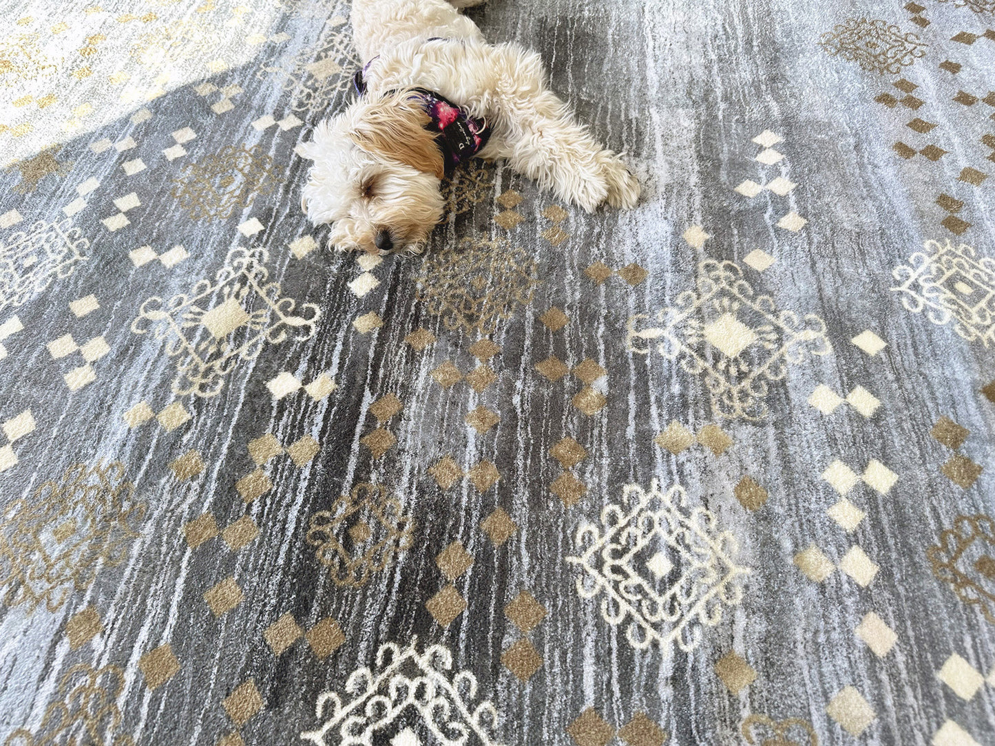 160 x 120 Luxury Plush Comfort Bedroom Living Room Carpet Area Rug