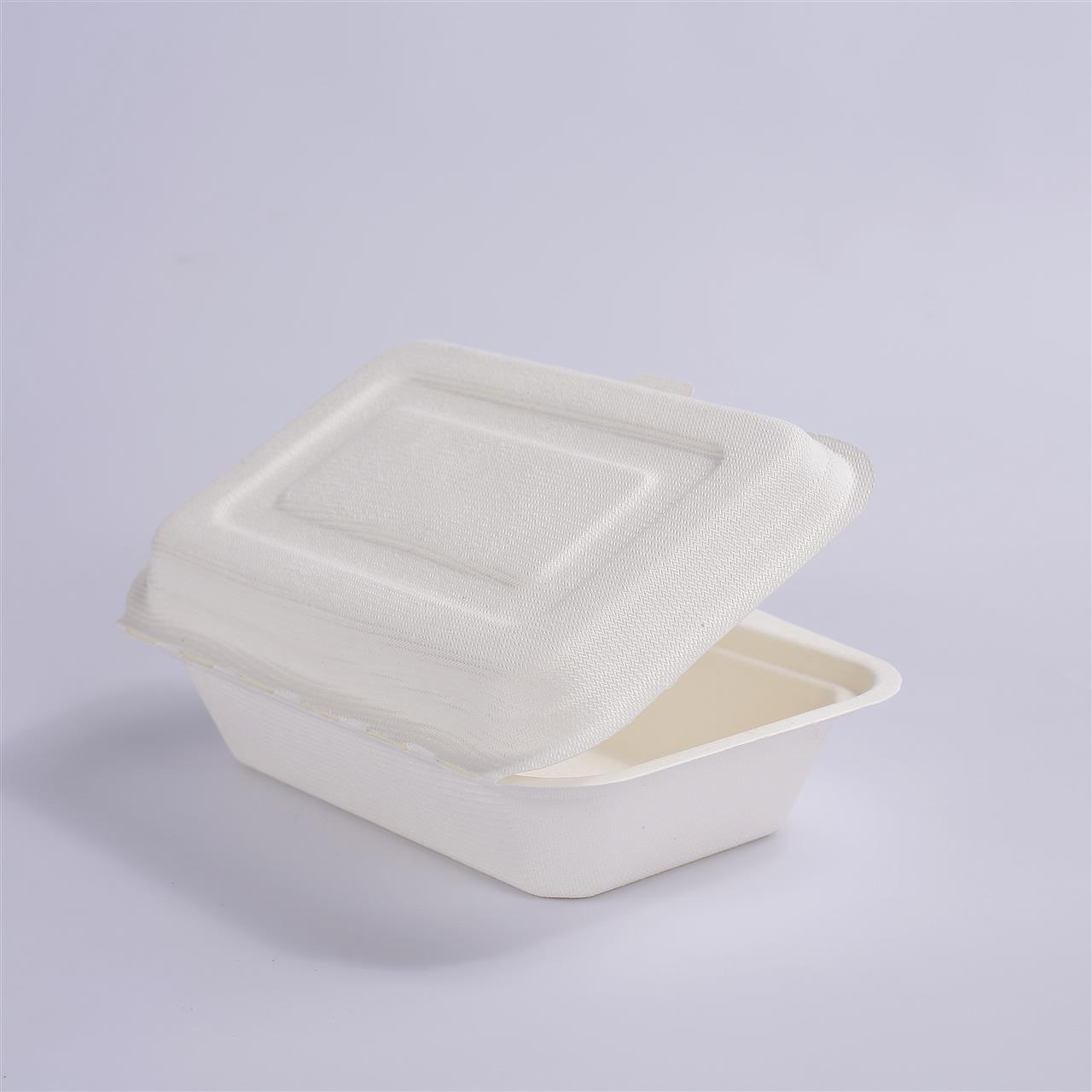 Pack of 50 Biodegradable Disposable Food Containers with Lid Eco-Friendly