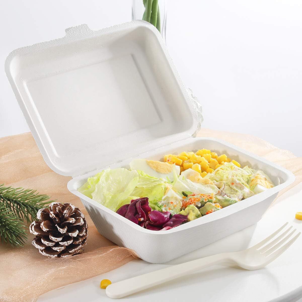 50 Pack X Large Biodegradable Takeaway Dinner Box Disposable Food Containers 600mL