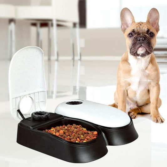 Automatic Pet Feeder with Timer for Dogs and Cats Food Dispenser