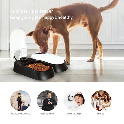 Automatic Pet Feeder with Timer for Dogs and Cats Food Dispenser