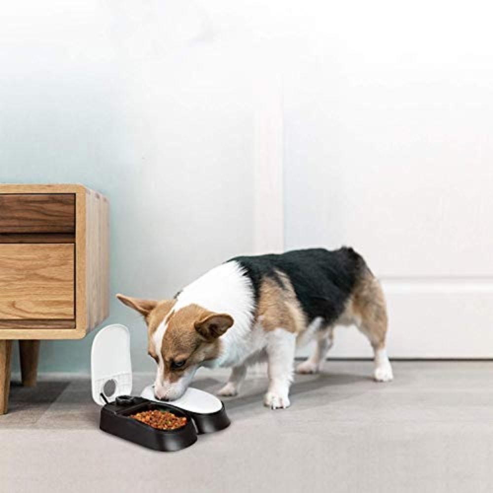 Automatic Pet Feeder with Timer for Dogs and Cats Food Dispenser