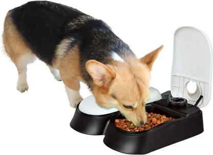 Automatic Pet Feeder with Timer for Dogs and Cats Food Dispenser