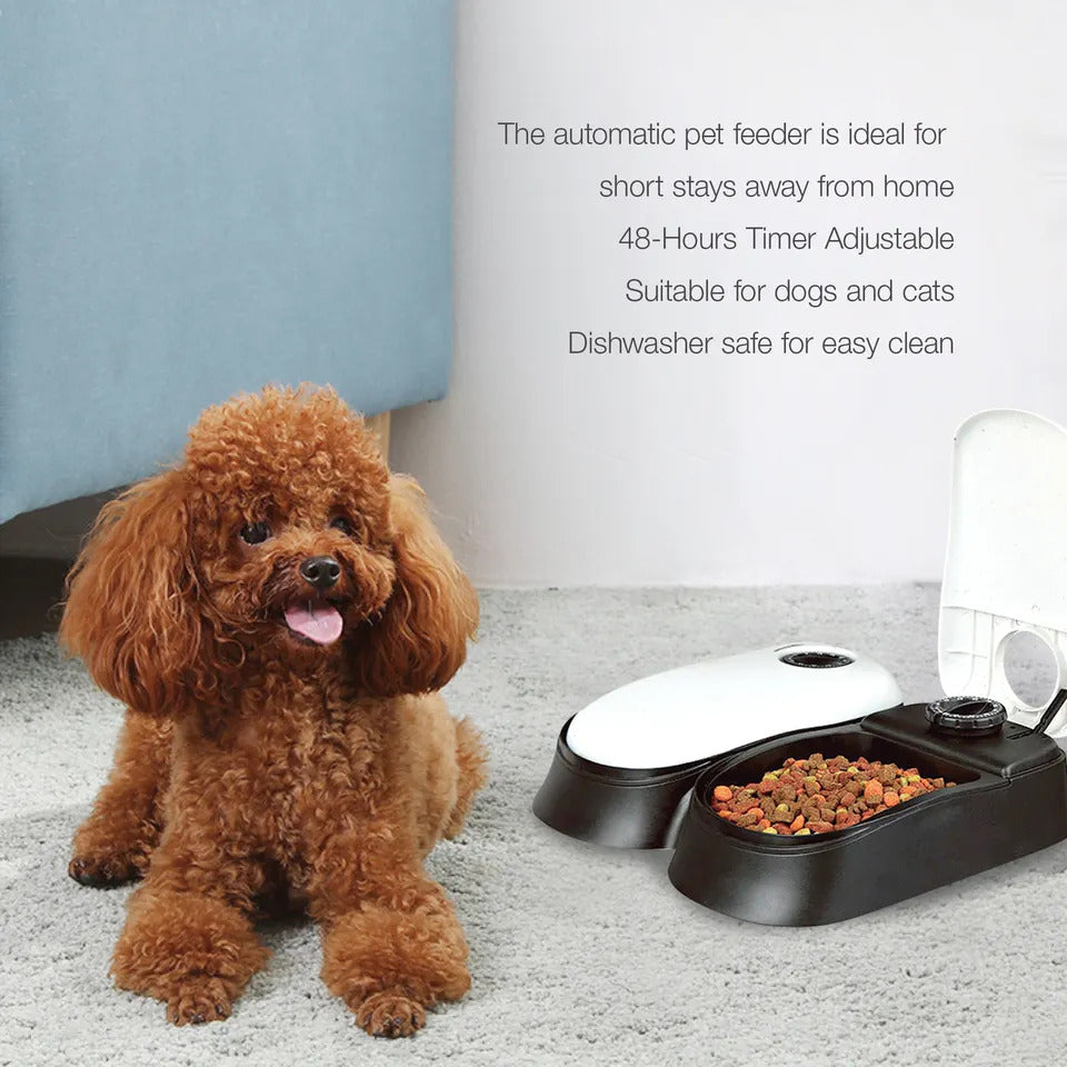 Automatic Pet Feeder with Timer for Dogs and Cats Food Dispenser