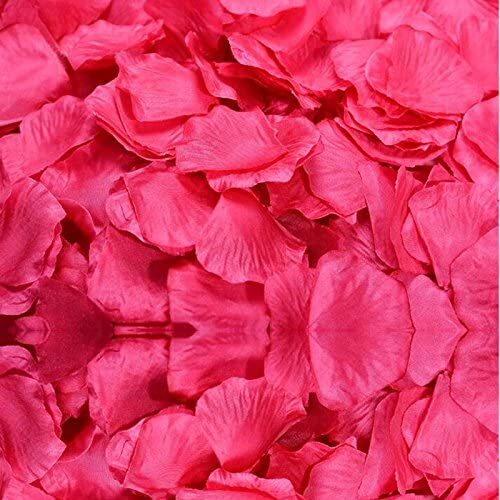 100 Pack Wedding Bridal Flower Rose Petals Hot Pink