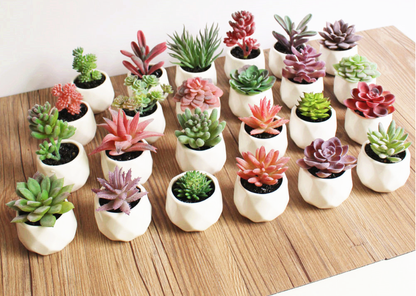 Small Lifelike Artificial Succulent Plant for Home Decor