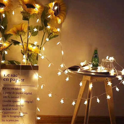 6m 40 LED Star String Lights for Home and Garden Decor