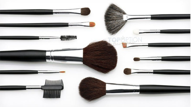 Professional Makeup Brush Set 12 Piece with Travel Case