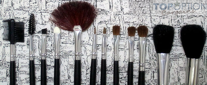 Professional Makeup Brush Set 12 Piece with Travel Case