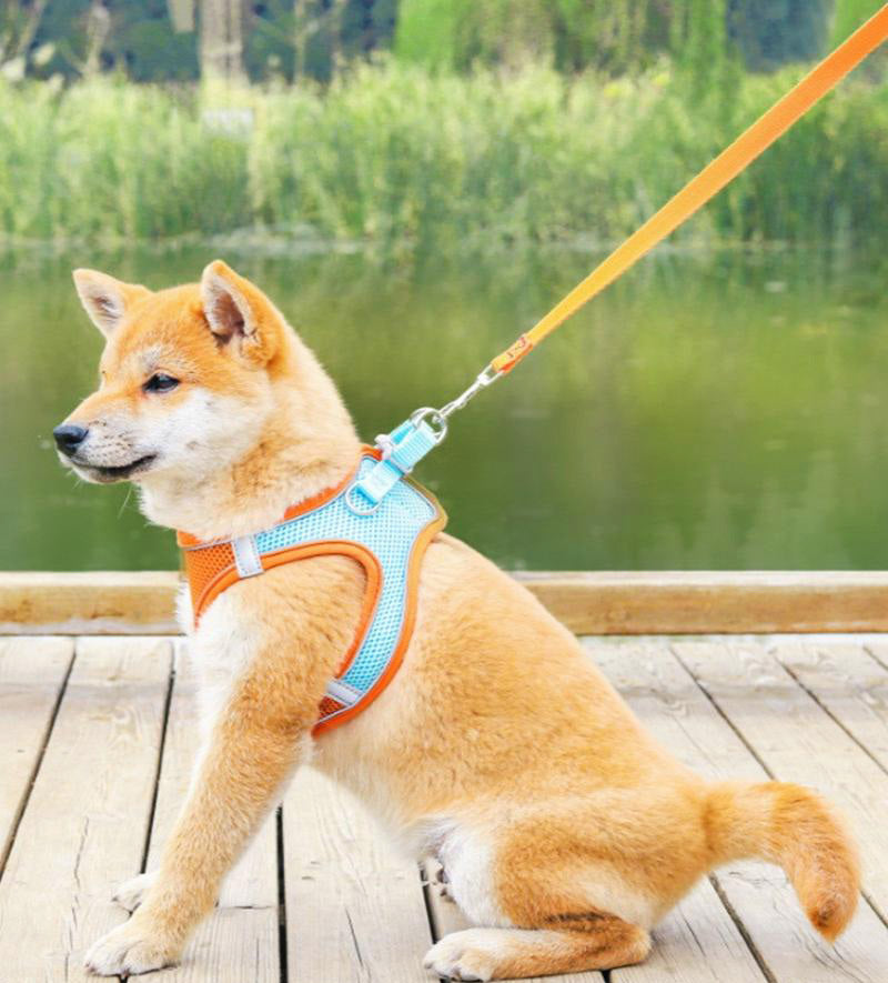 Medium Dog Harness and Leash Set Pet Vest Lead Orange