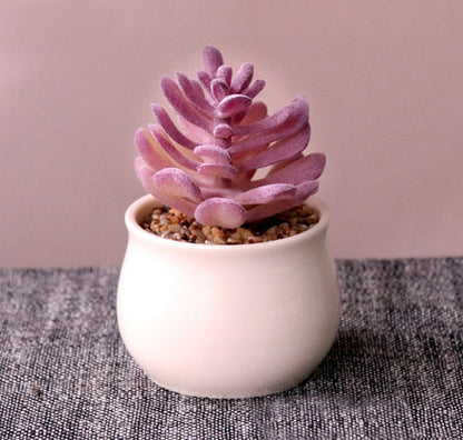 Small Lifelike Artificial Succulent Plant for Home Decor