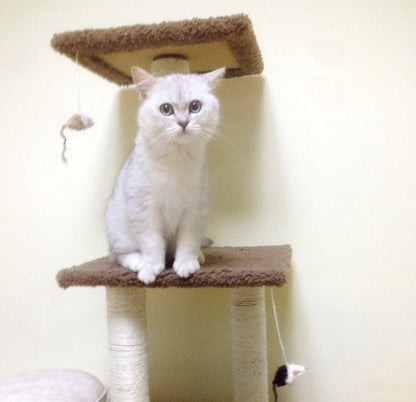 4-Level Cat Scratching Tower for Active Cats Tan