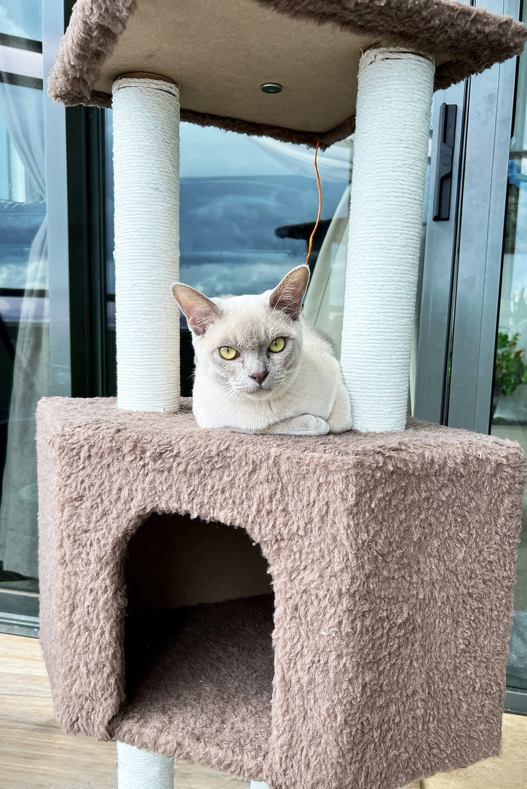 4-Level Cat Scratching Tower for Active Cats Tan