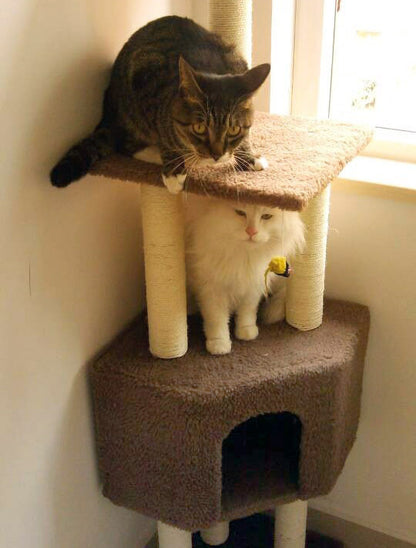 4-Level Cat Scratching Tower for Active Cats Tan