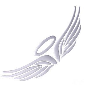 3D Angel Wing Car Sticker Auto Decal for Stylish Vehicle Decoration