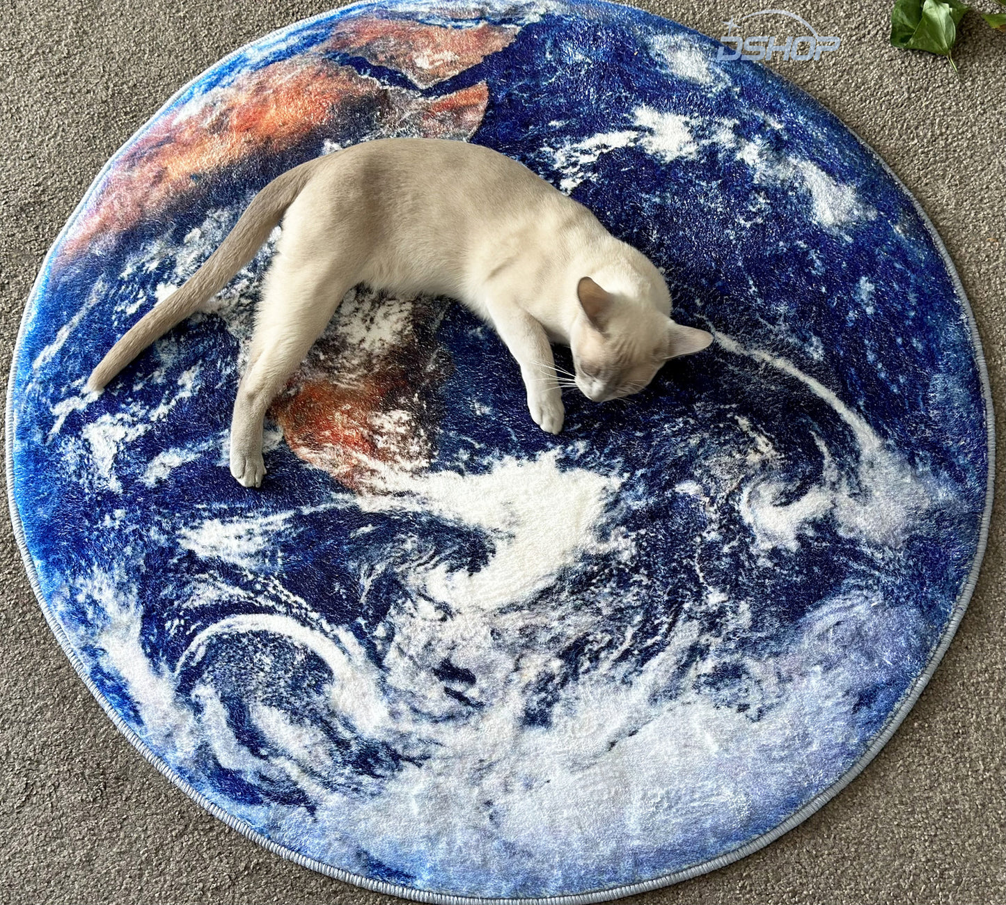 Luxury Plush Comfort Infinity Round Earth Planet World Rug