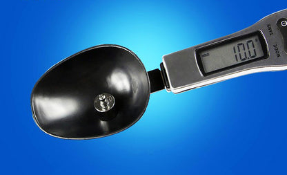 Precision Stainless Steel Spoon Scale 0.1g to 500g Accurate Measurement