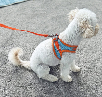 Medium Dog Harness and Leash Set Pet Vest Lead Orange