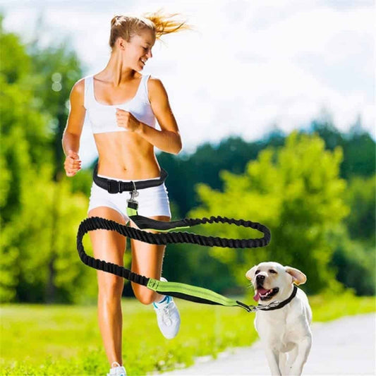 Hands-Free Running Bungee Dog Leash for Active Pet Owners