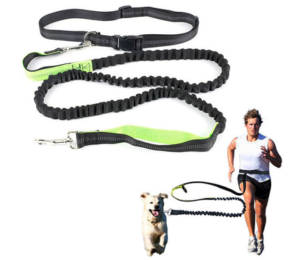 Hands-Free Running Bungee Dog Leash for Active Pet Owners