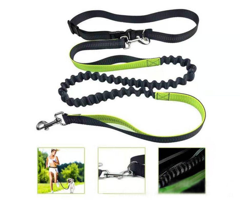 Hands-Free Running Bungee Dog Leash for Active Pet Owners