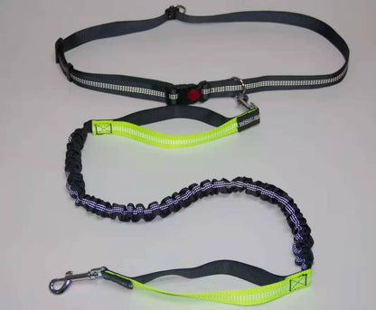 Hands-Free Running Bungee Dog Leash for Active Pet Owners