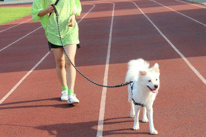 Comfortable Padded Strong Reflective Dog Leash for Night Safety