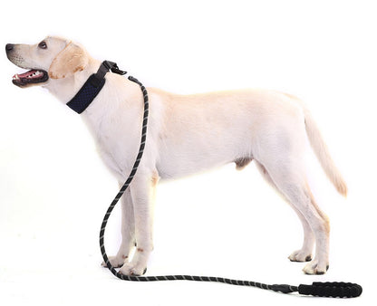 Comfortable Padded Strong Reflective Dog Leash for Night Safety