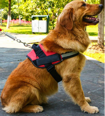 XS No-Pull Reflective Adjustable Dog Harness for Small Pets