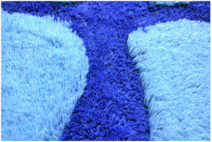 Soft Footprint Bathroom Bedroom Doormat Rug Mat Blue