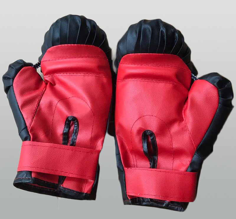 Premium Boxing Gloves for Fitness Training Black and Red