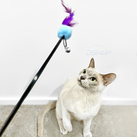 Interactive Feather Wand Cat Toy with Bell