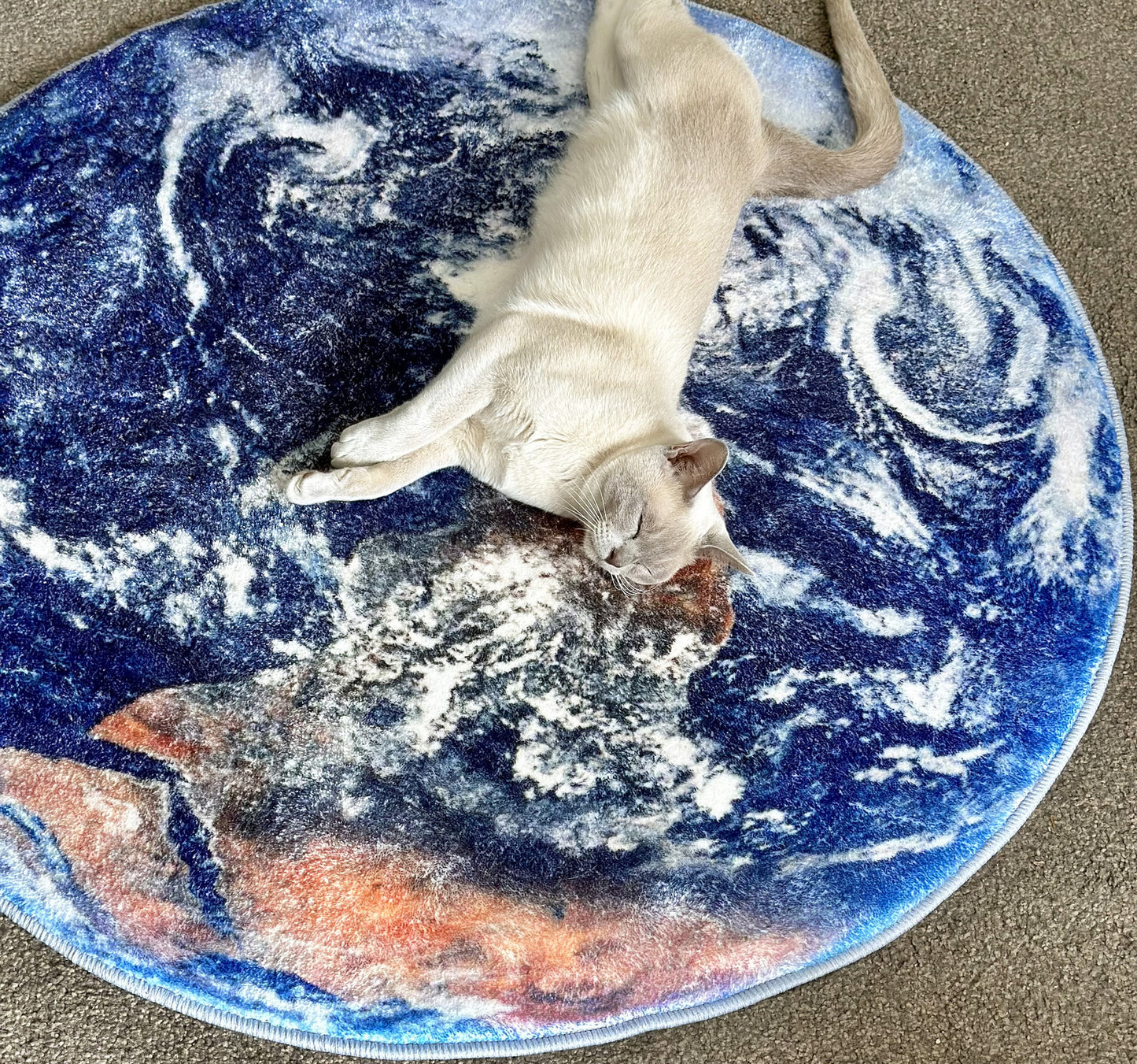 Luxury Plush Comfort Infinity Round Earth Planet World Rug