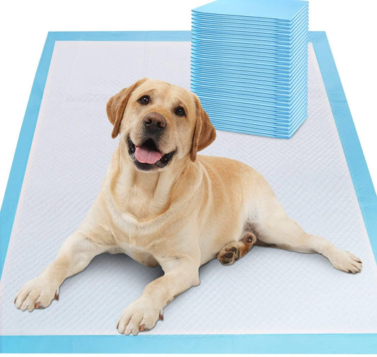 40 Pack XL Puppy Pads Dog Toilet Training Mats 60cm x 60cm Absorbent and Leak-Proof