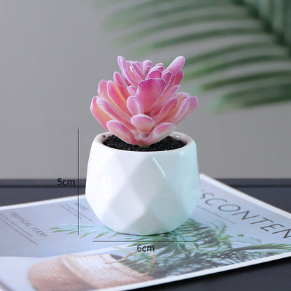 Small Lifelike Artificial Succulent Plant for Home Decor