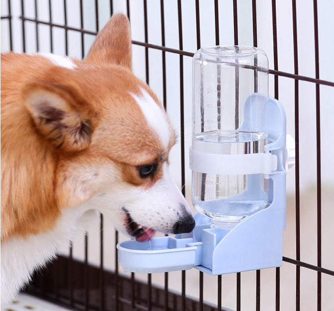 Automatic Pet Water Dispenser Feeder Station Blue