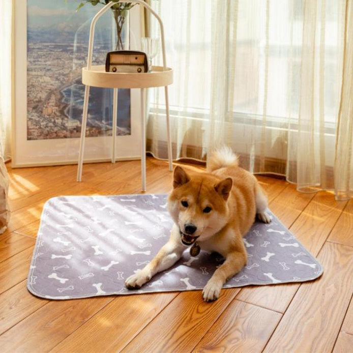 40cm x 60cm Waterproof Washable Reusable Puppy Training Pad for Dogs