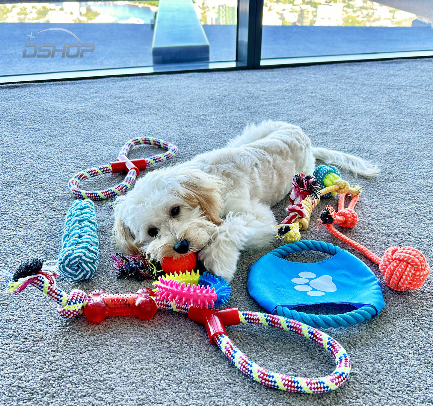 Interactive Dog Chew Toy Set for Aggressive Chewers