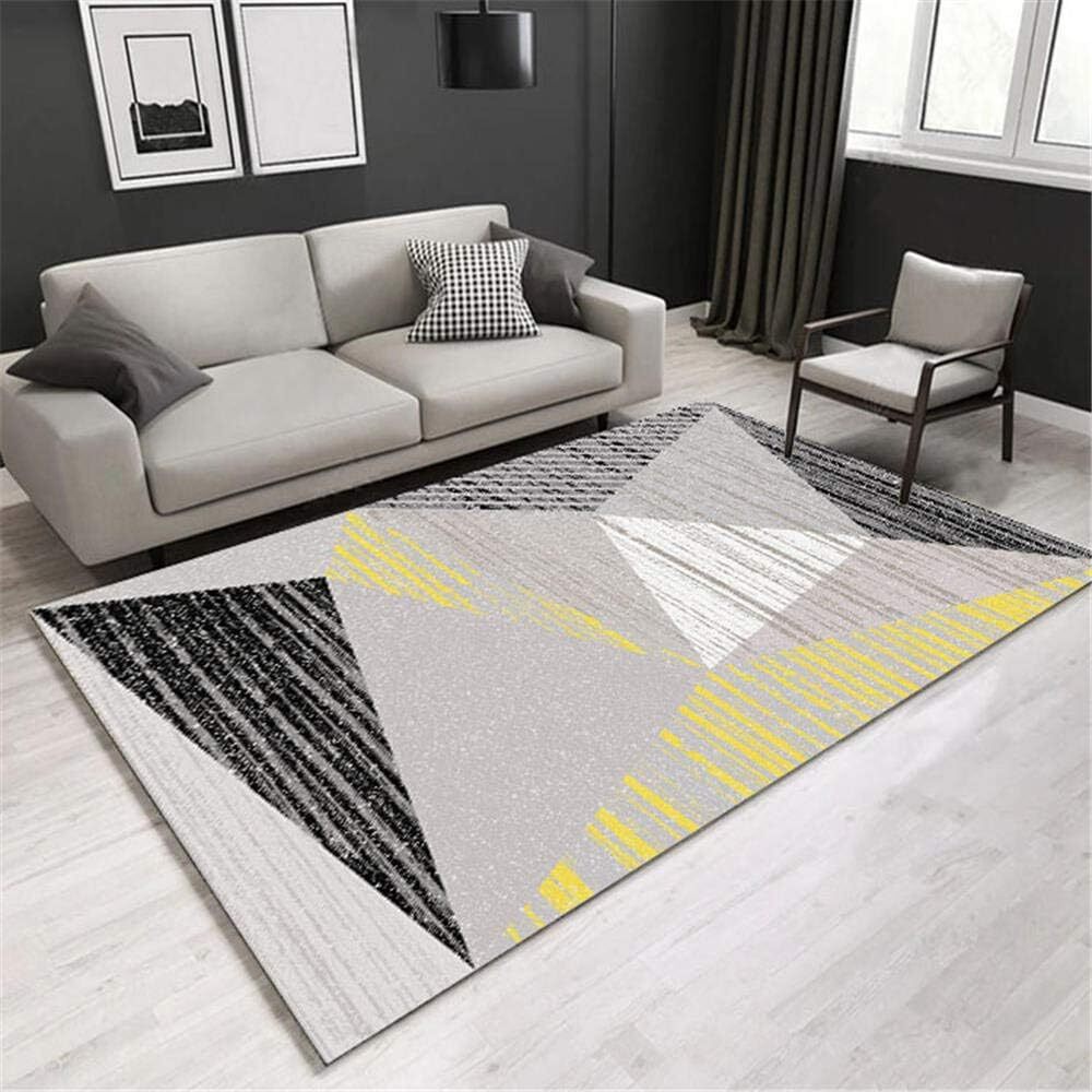 230 x 160 Modern Rug Stylish Design Easy-Care Carpet Mat