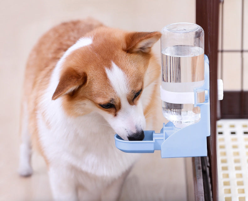 Automatic Pet Water Dispenser Feeder Station Blue