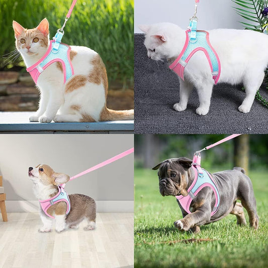 S Small Dog Harness and Leash Set for Cats and Small Dogs Pink