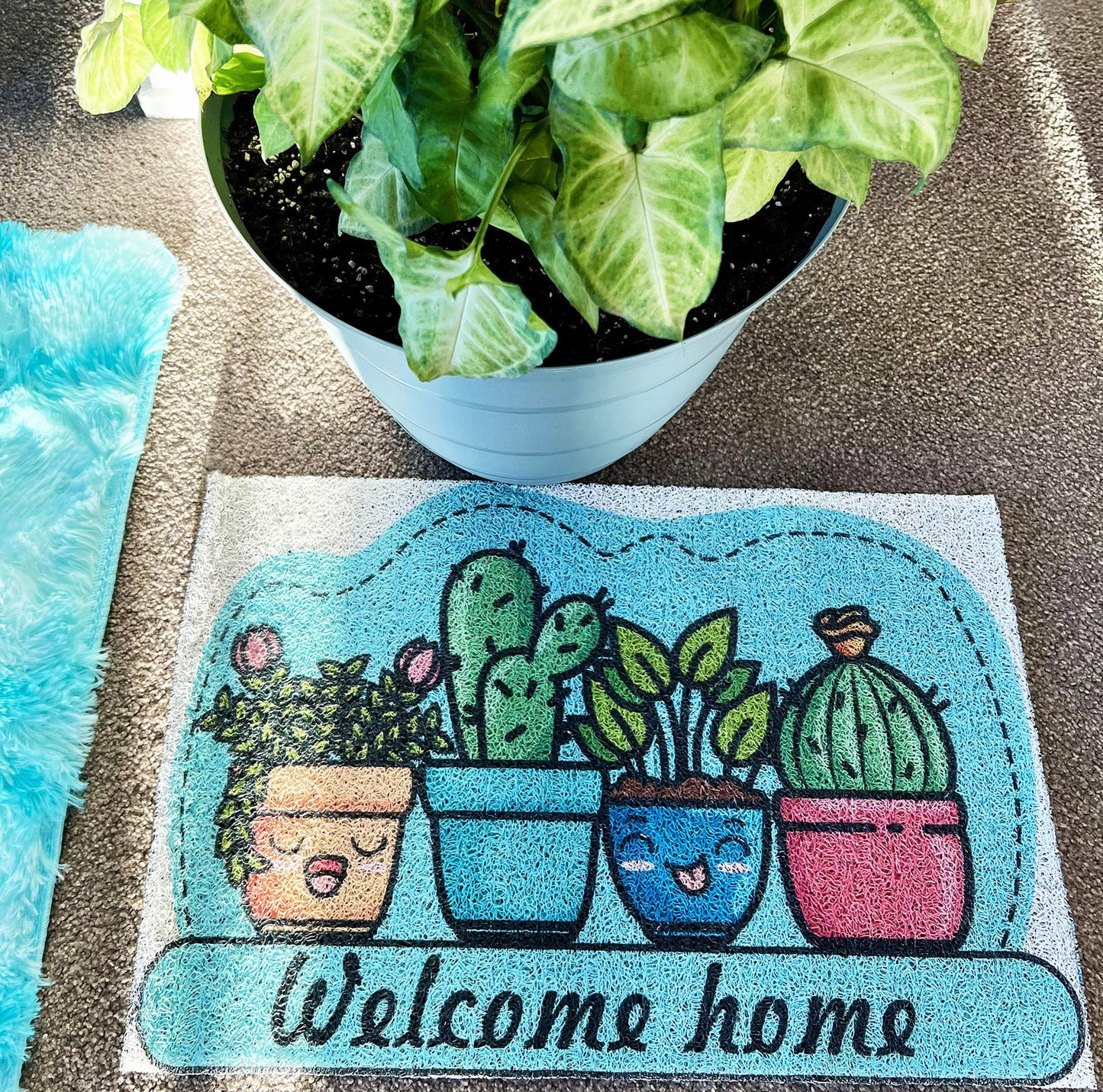 Super Absorbent Non-Slip Welcome Home Bath Mat for Plants