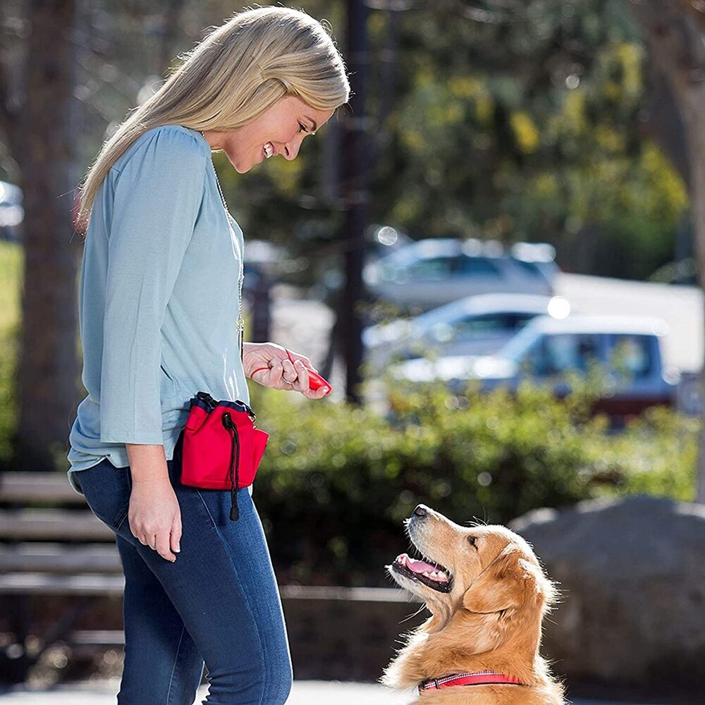 Dog Whistle and Clicker Training Tool for Effective Pet Training Black