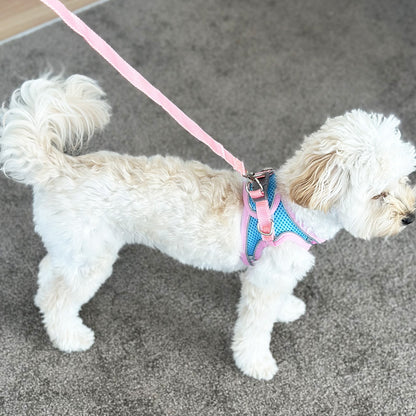 Medium Dog Harness and Leash Set Adjustable Pet Vest Lead Pink