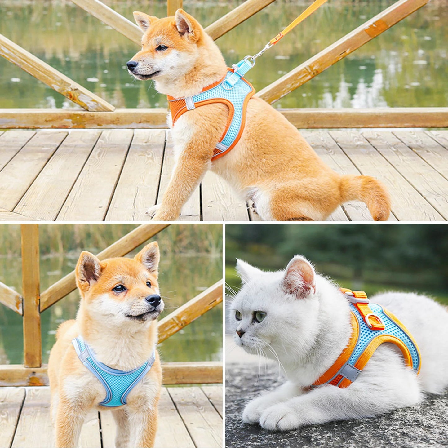 Medium Dog Harness and Leash Set Pet Vest Lead Orange