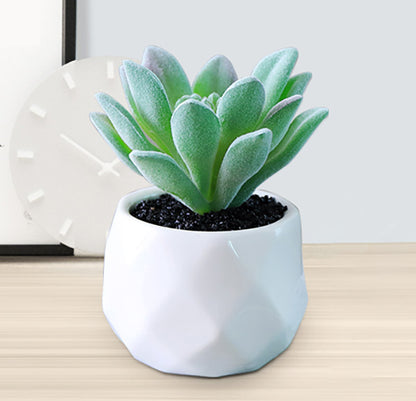 Small Lifelike Artificial Succulent Plant for Home Decor