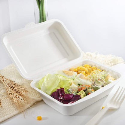 50 Pack X Large Biodegradable Takeaway Dinner Box Disposable Food Containers 600mL