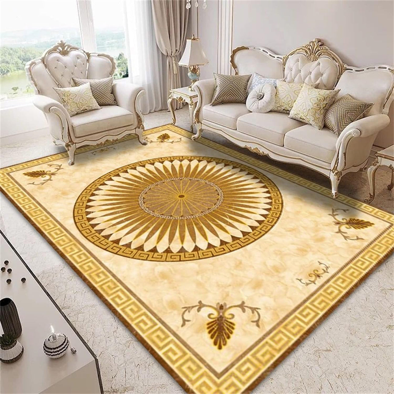 300 x 200 Extra Large Stylish Easy-Care Area Rug Mat